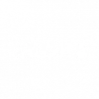 Logo Bora weiß